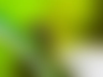 Τι πρέπει να γνωρίζετε για τα κουνούπια και τη δημόσια υγεία