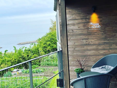 テラス席にレッドスターが仲間入り🎶