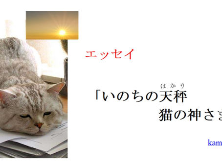 ミソノピアの風に漂いながら「いのちの天秤 猫の神さま」