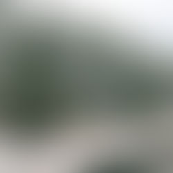 冬キャンプ