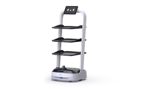 Robot de livraison Pudubot2