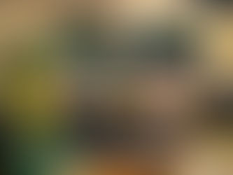 Ultralytics YOLO: Giving Python a Pair of Eyes — Part I