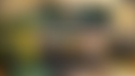 Ultralytics YOLO: Giving Python a Pair of Eyes — Part I