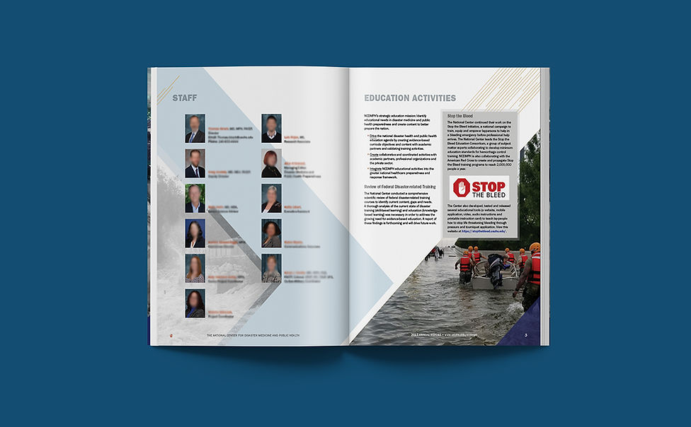 NCDMPH 2017 AR Mockup 2 lowres.png