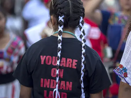 No Thanks for Taking - Annual NDN Kid Thoughts