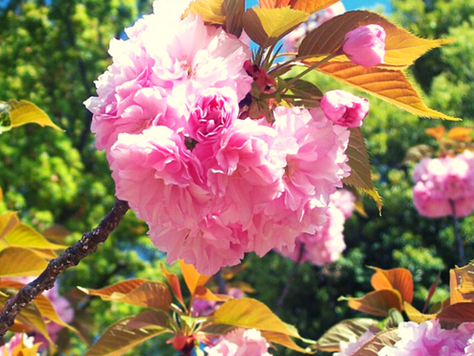 How to Tell Your Child(ren) the Truth About the Abuse Without Passing on the Pain