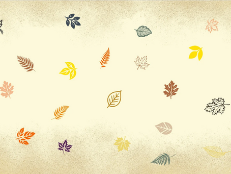 Support Your Digestive System as You Prepare for the Season