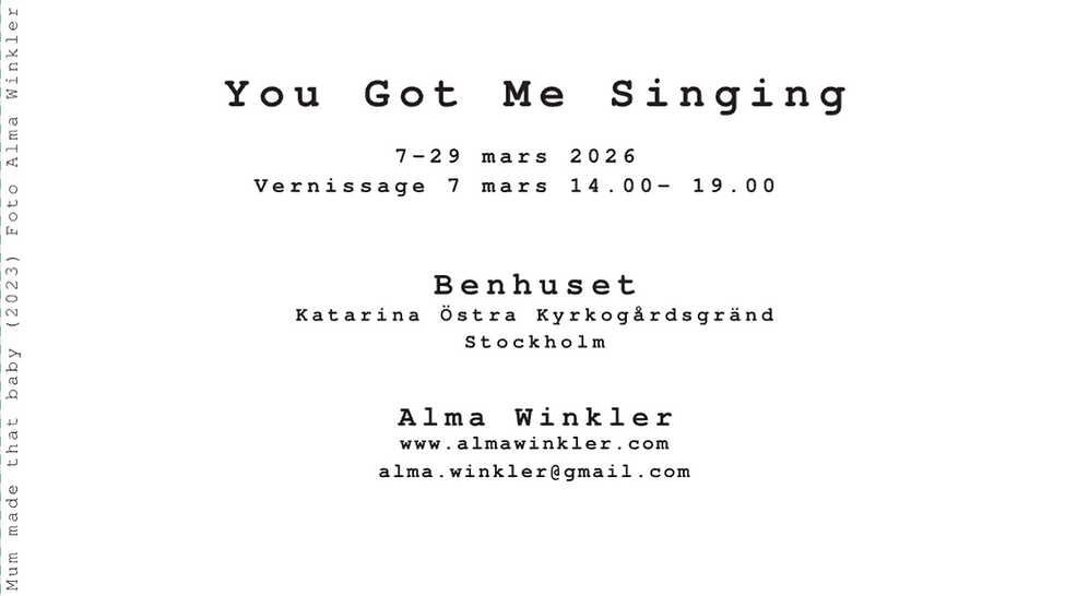 Skärmavbild 2026-02-11 kl. 14.18.55.png