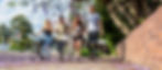 bikes_under_tree.jpg