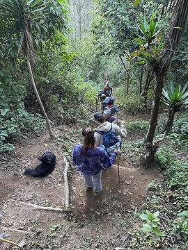 people hiking down a mountain
