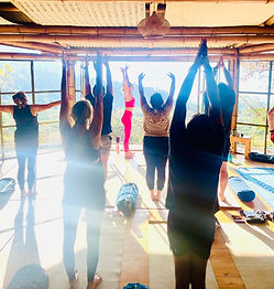 group of people doing yoga 