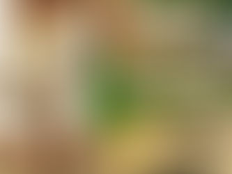 DEADLINE TODAY: WU Young Alumni Kickback Tour Detroit