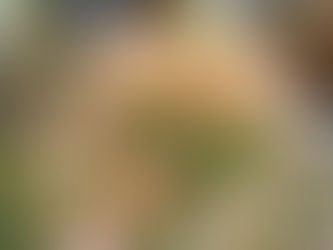 The Ever-Changing Winds of Life