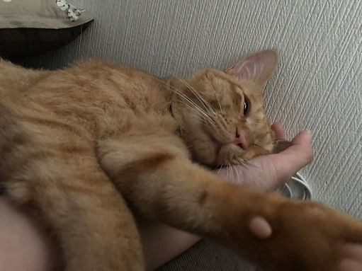 LINE_ALBUM_ちゃちゃ_231028_153.jpg