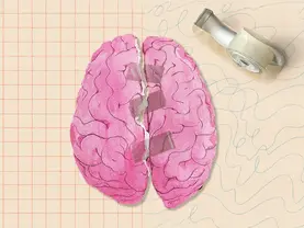 7 Learning Myths Your Students Probably Believe