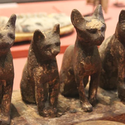 How Persians Once Used Cats To Defeat The Egyptian Army