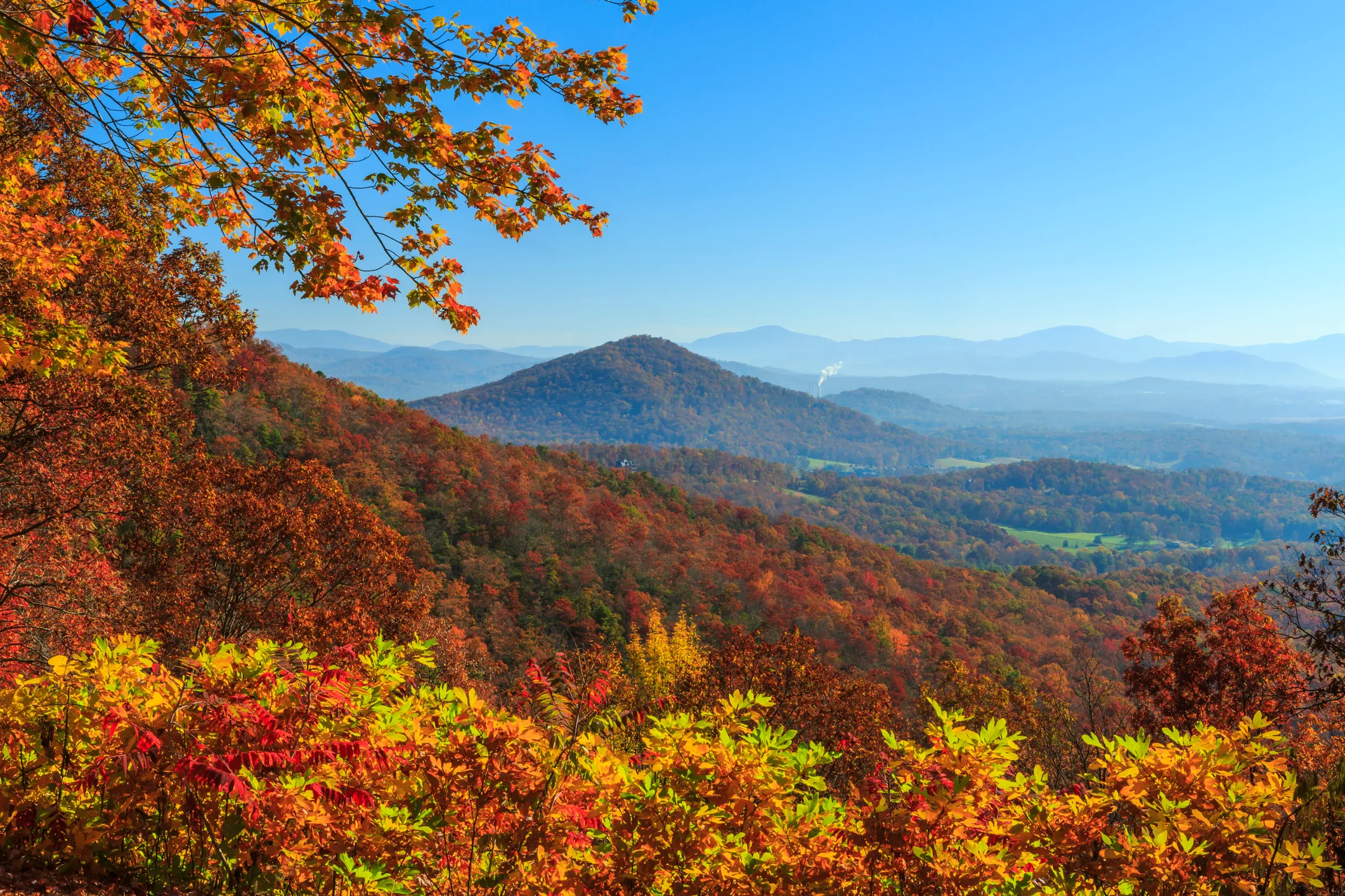 Asheville.webp