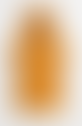 lion towel poncho for kids