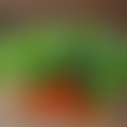 Discover the Flavours of Southeast Asian Cooking