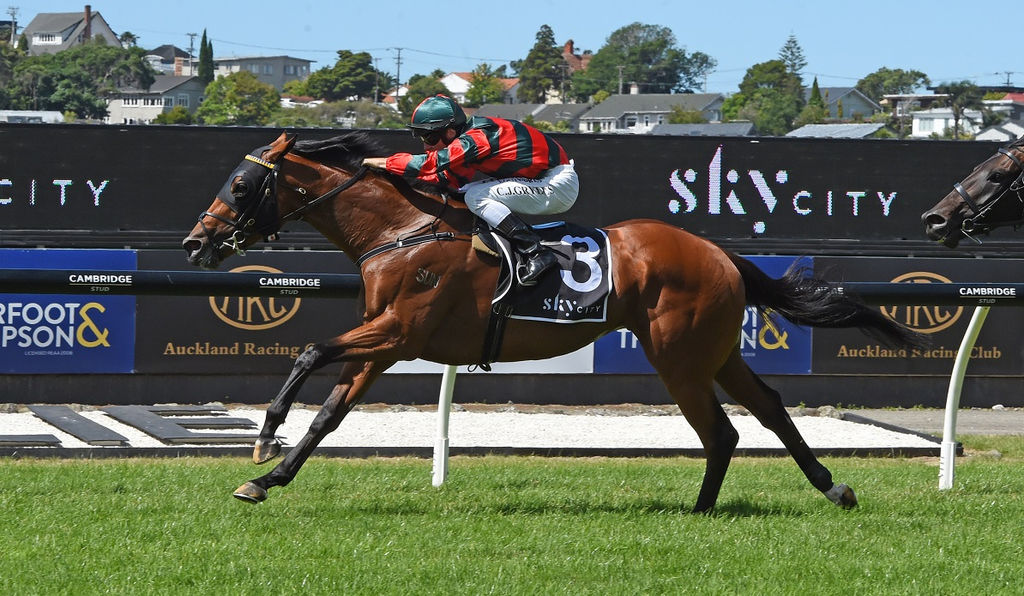 Auckland Racing Club Ellerslie Racecourse