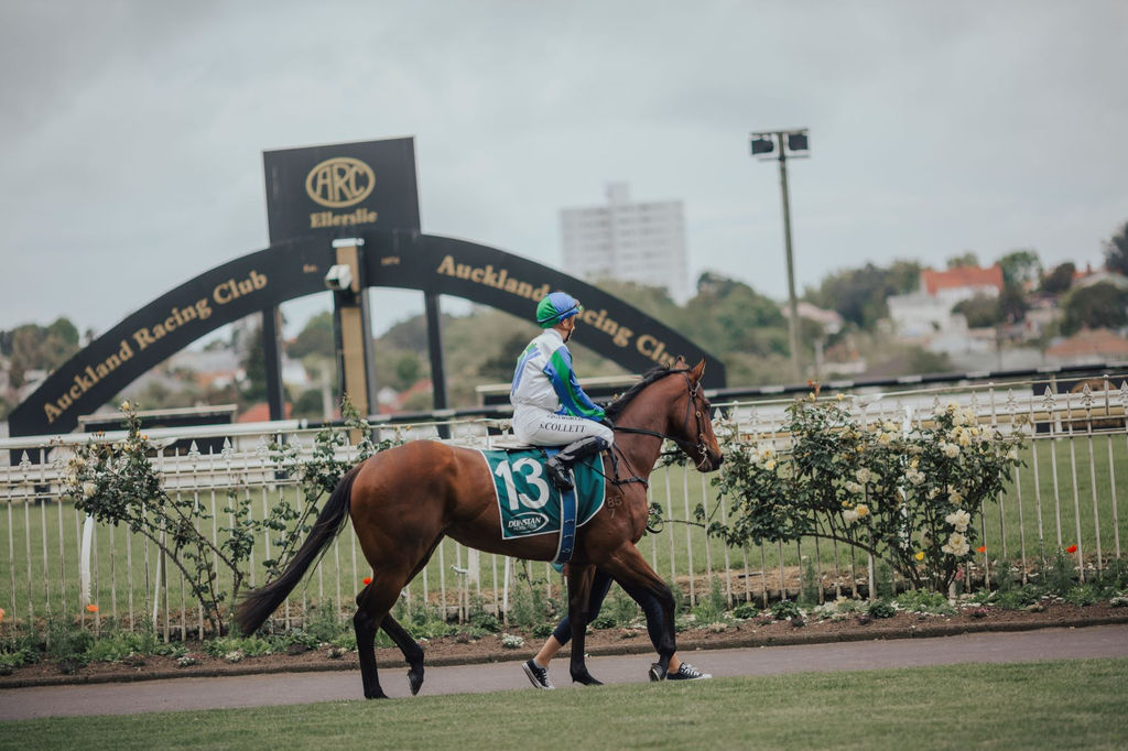 Auckland Racing Club Ellerslie Racecourse