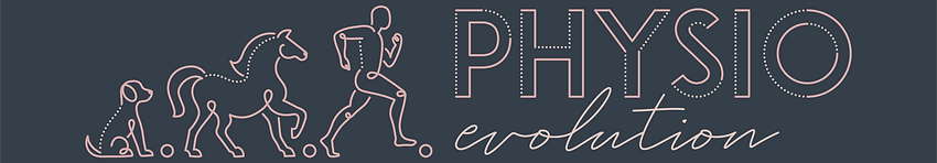 Animal Physiotherapy massage treatment dog horse logo physio evolution