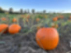 🎃Friday Fall Admission 🎃