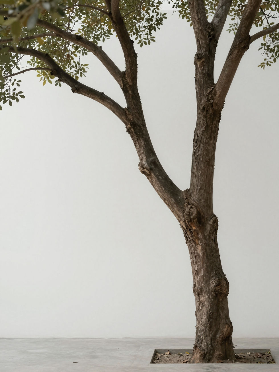 ai-generated-IMAGE.jpg