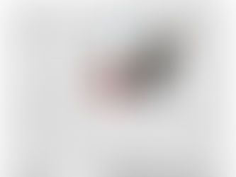 February 20th edition now available online!