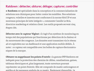 🔎 Rongeurs, insectes : les nouvelles pistes pour les éliminer !