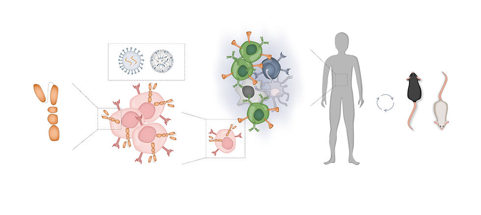 lab overview v3_edited.jpg