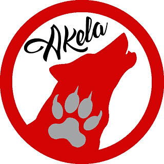 Writer: Larry Osmond