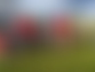 A relaxing end to a fantastic year!