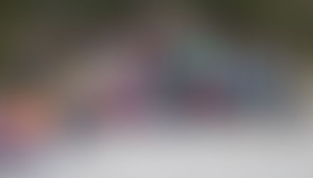 Rockwood Orienteering Hike