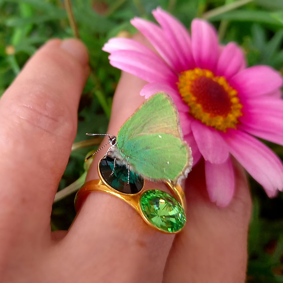 Miniatyrbild: NAJAD Golden Ring - Forest Serenity
