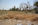 Habbaniya WAR Cemetery - Restoration by the US Army, USMC and USAF during 2005 and 2006