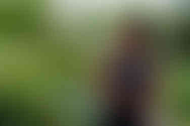 Woman holding palm in Manchester park.