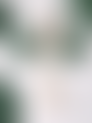 A woman in cream clothing appears to gently balance four oversized dark green spheres, surrounded by them in a light-filled space.