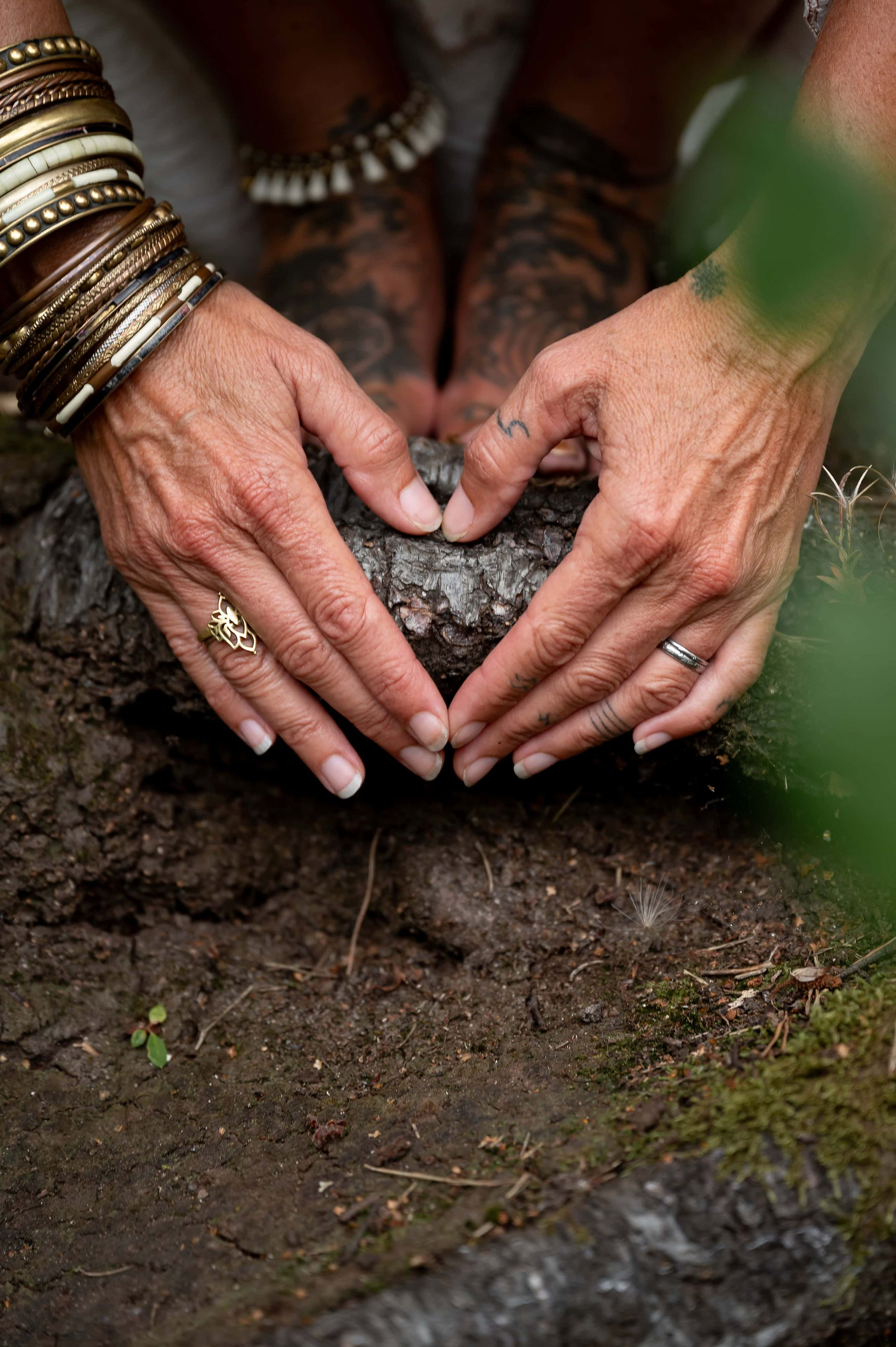 Hands forming a heart shape over a tree root with earth in background.