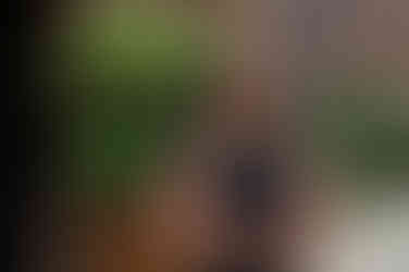 Woman in alley with green plants behind.