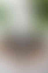 Pin tin with Tape measure surrounded by pearls and trims used by Liverpool veil designer Redress Studio.