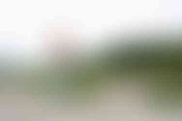 A person in a brown tank top and jeans stretches with raised arms on a sandy beach, with grassy land and a tree-covered hillside in the background, captured beautifully by wild kind photography.