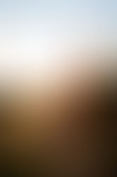 The sun is setting and the lady is stood on the decking outside the house she is smiling and raising one arm into the sky and holding a glass of champagne towards the camera in the other hand.