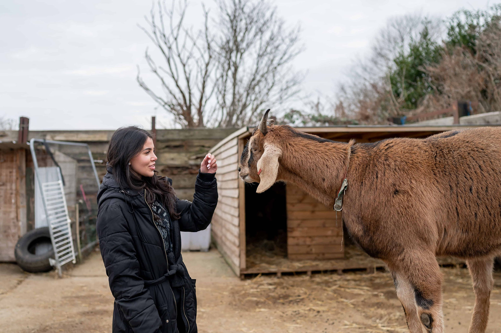 Rayner Croft, Plant Based Directory founder, at Liverpool's White Gate Animal Sanctuary with goat.