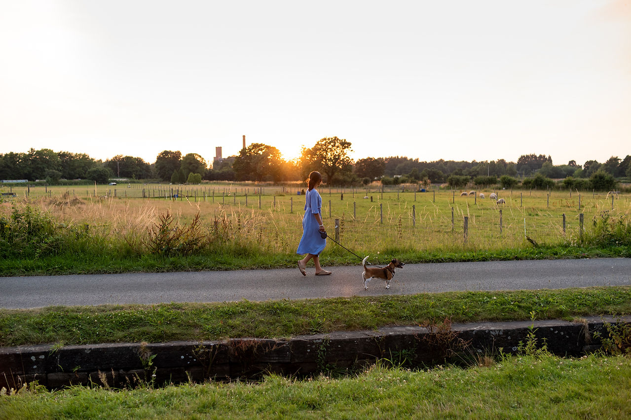 A person in a blue dress walks a dog on a leash along a rural path at sunset, with fields and trees in the background, capturing the essence of wild kind photography.