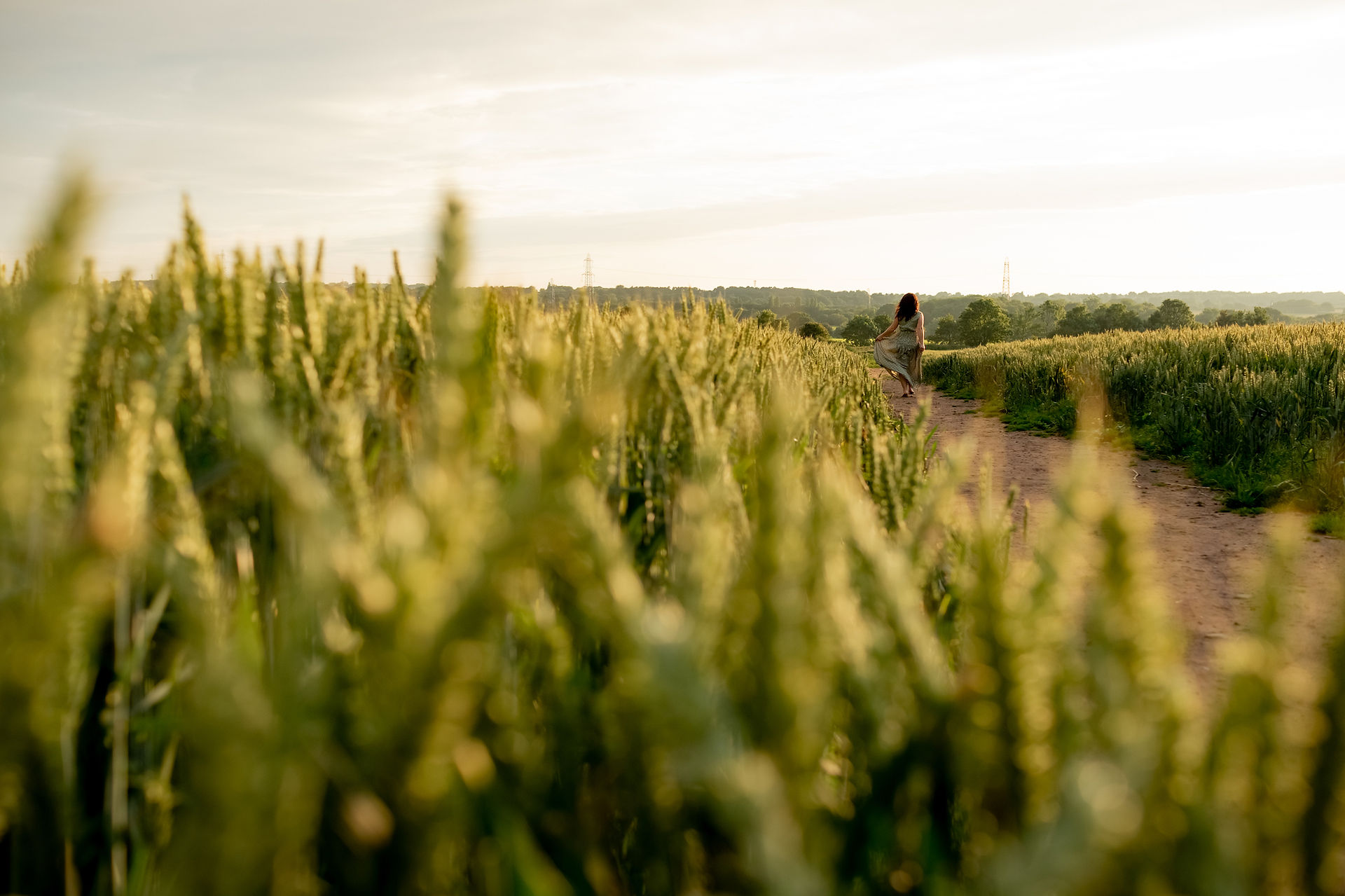Golden field captured during outdoor Liverpool brand session.