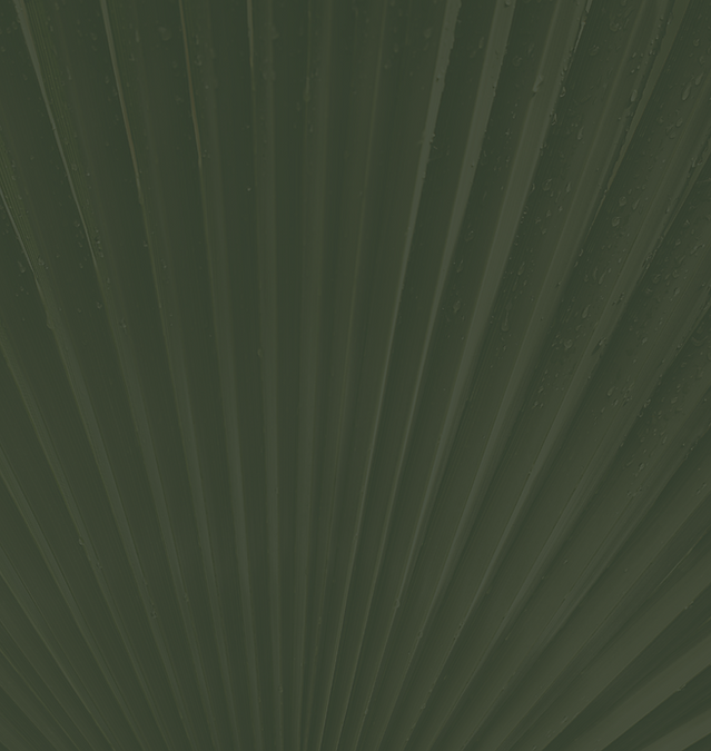 Personal-Brand-Photography.png