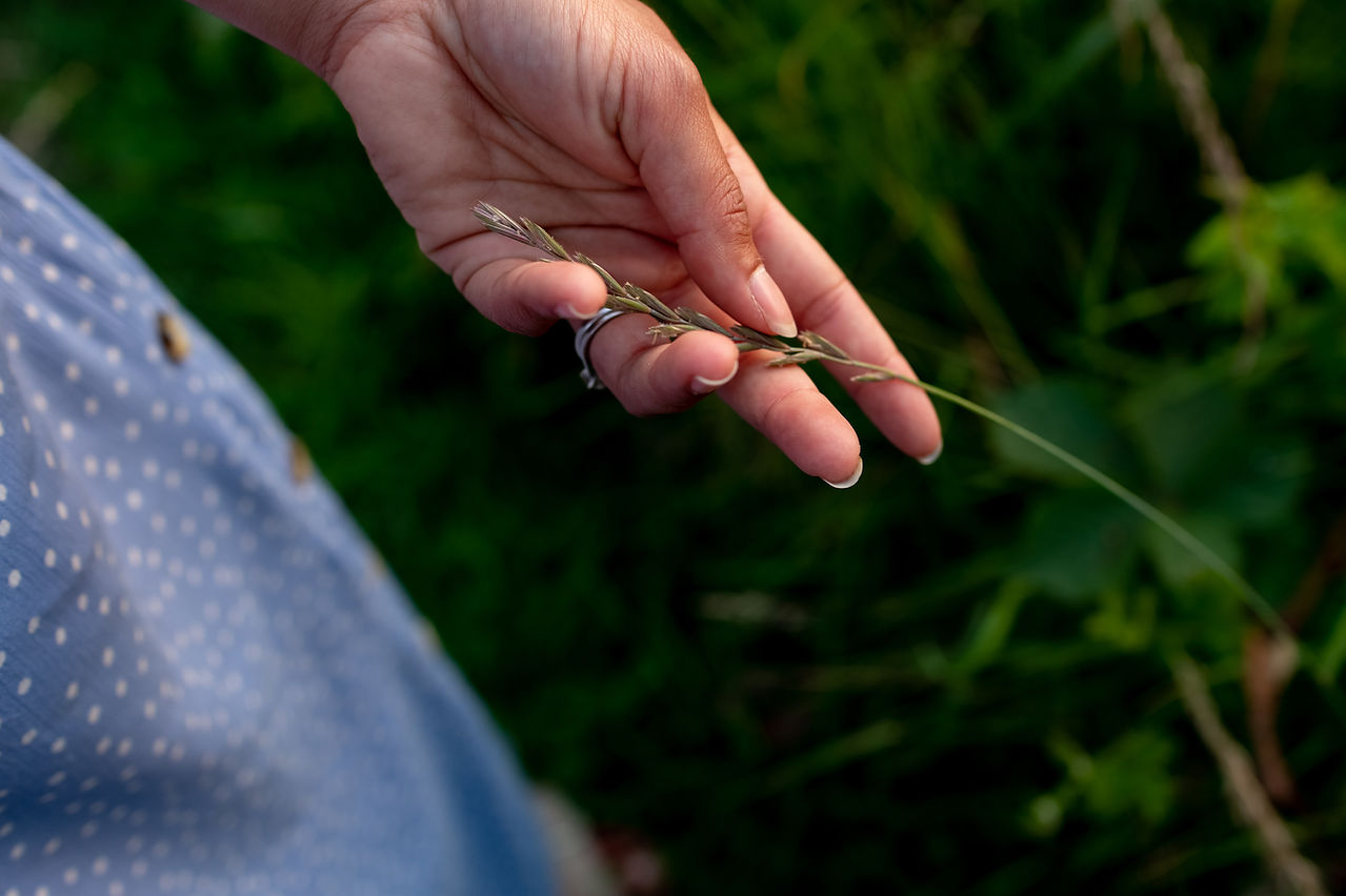 A close-up of a person holding a small stem of grass in their hand, with greenery in the background. The person, captured by Wild Kind Photography, is wearing a blue polka-dotted shirt.