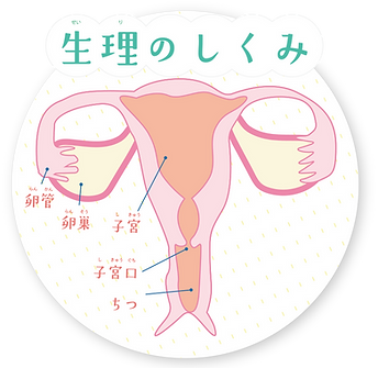 body01.png