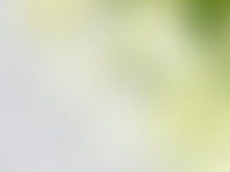 「mybest」にてフルムーンガールが掲載されています！